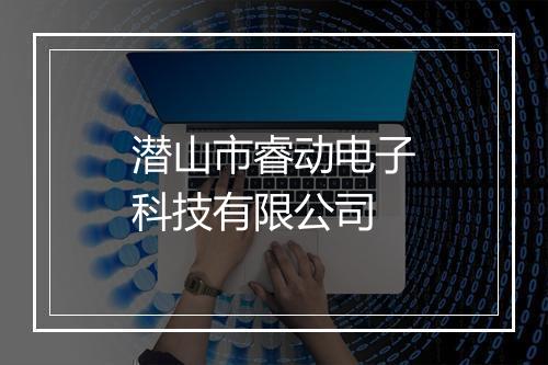 潜山市睿动电子科技有限公司