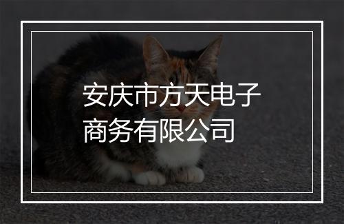 安庆市方天电子商务有限公司