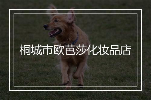 桐城市欧芭莎化妆品店