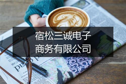 宿松三诚电子商务有限公司