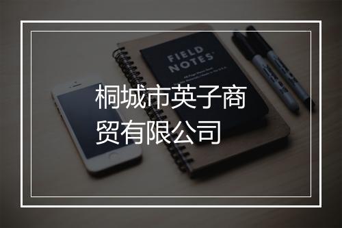 桐城市英子商贸有限公司