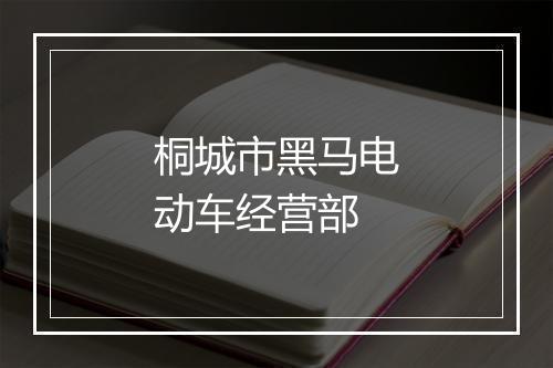 桐城市黑马电动车经营部