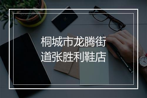 桐城市龙腾街道张胜利鞋店