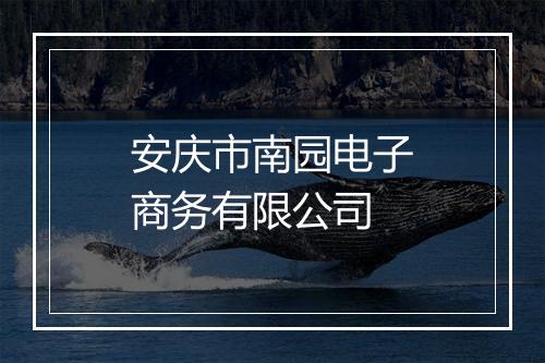 安庆市南园电子商务有限公司