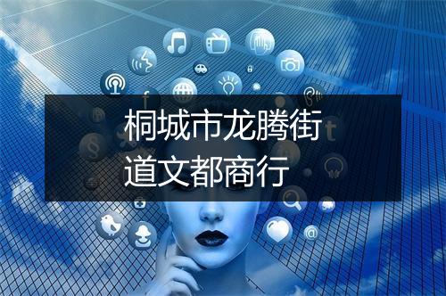 桐城市龙腾街道文都商行