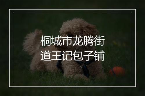 桐城市龙腾街道王记包子铺