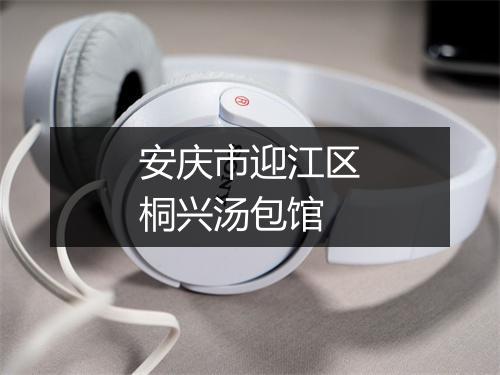 安庆市迎江区桐兴汤包馆
