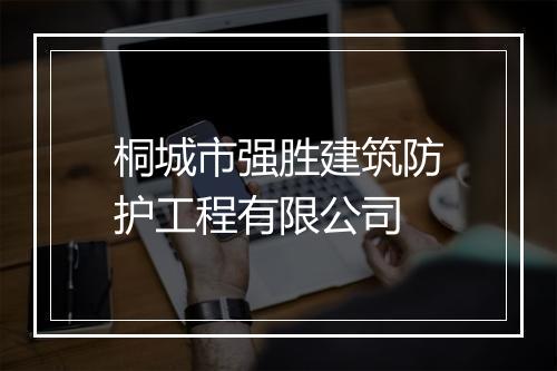 桐城市强胜建筑防护工程有限公司