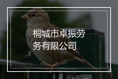 桐城市卓振劳务有限公司