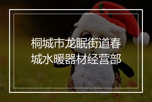 桐城市龙眠街道春城水暖器材经营部