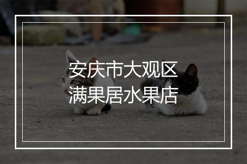 安庆市大观区满果居水果店