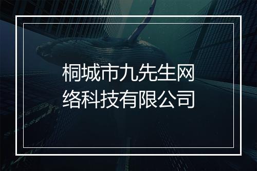 桐城市九先生网络科技有限公司