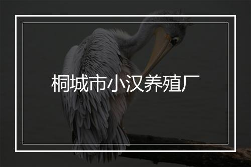 桐城市小汉养殖厂