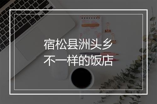 宿松县洲头乡不一样的饭店