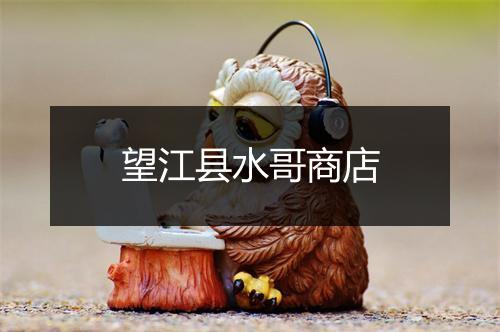 望江县水哥商店