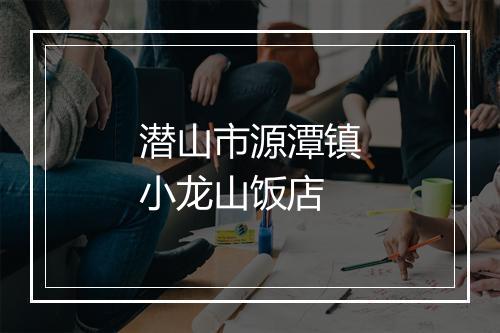 潜山市源潭镇小龙山饭店
