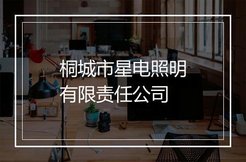 桐城市星电照明有限责任公司
