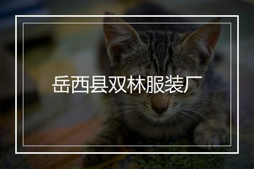 岳西县双林服装厂