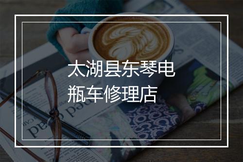太湖县东琴电瓶车修理店