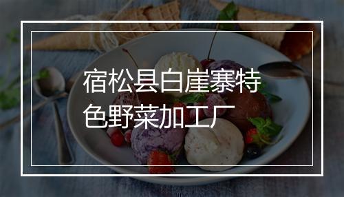 宿松县白崖寨特色野菜加工厂