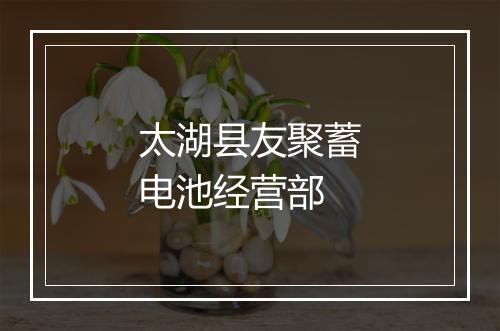 太湖县友聚蓄电池经营部