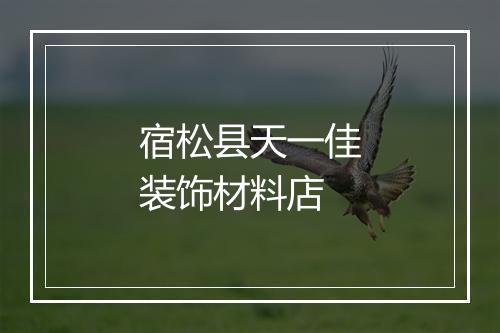 宿松县天一佳装饰材料店
