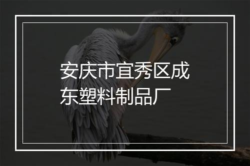 安庆市宜秀区成东塑料制品厂