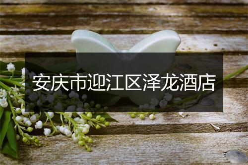 安庆市迎江区泽龙酒店