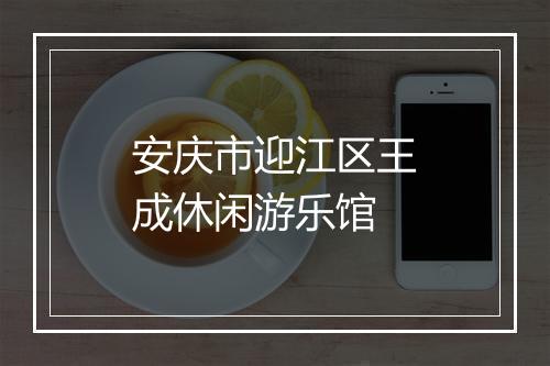 安庆市迎江区王成休闲游乐馆
