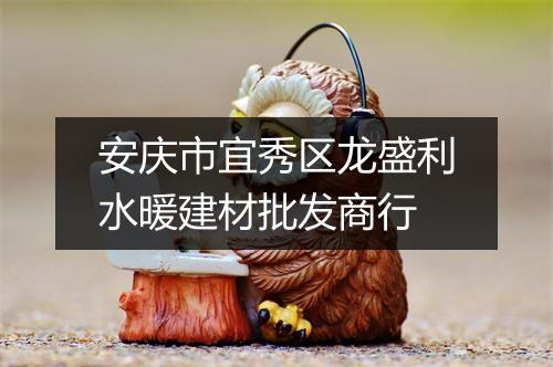 安庆市宜秀区龙盛利水暖建材批发商行