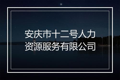 安庆市十二号人力资源服务有限公司