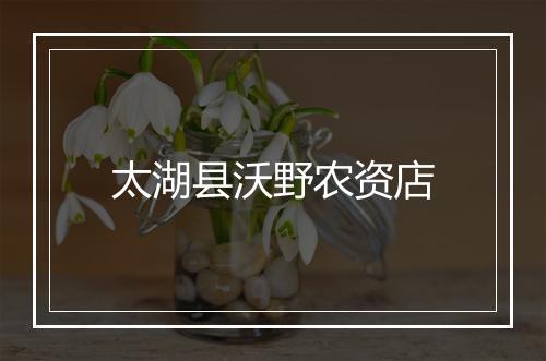 太湖县沃野农资店