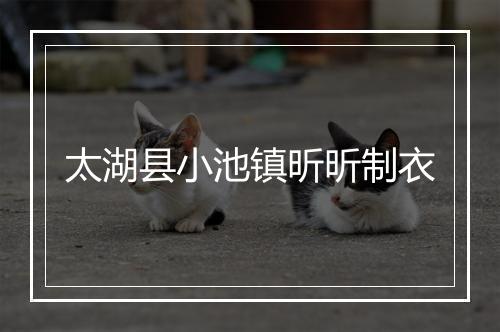 太湖县小池镇昕昕制衣