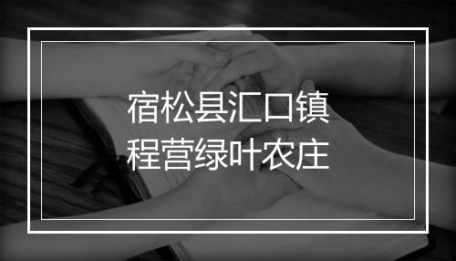 宿松县汇口镇程营绿叶农庄