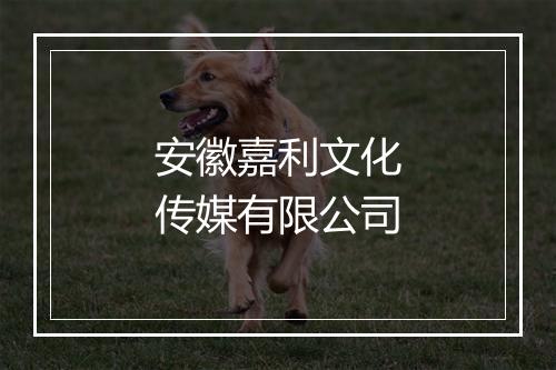 安徽嘉利文化传媒有限公司