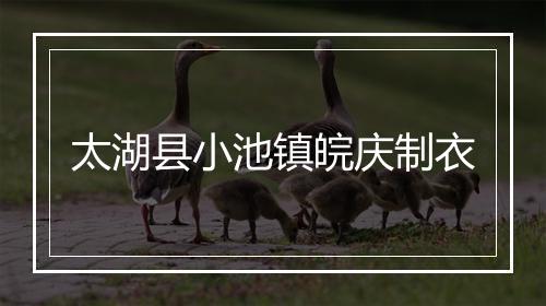 太湖县小池镇皖庆制衣