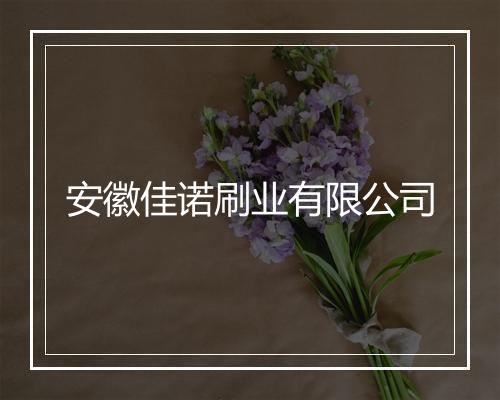 安徽佳诺刷业有限公司