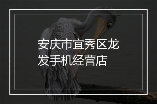 安庆市宜秀区龙发手机经营店