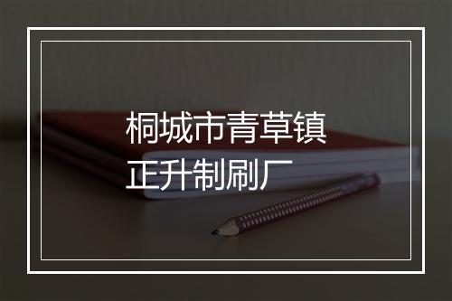 桐城市青草镇正升制刷厂
