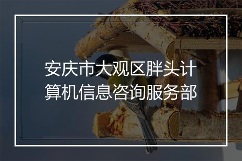 安庆市大观区胖头计算机信息咨询服务部