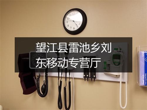 望江县雷池乡刘东移动专营厅