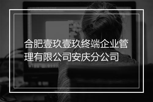 合肥壹玖壹玖终端企业管理有限公司安庆分公司