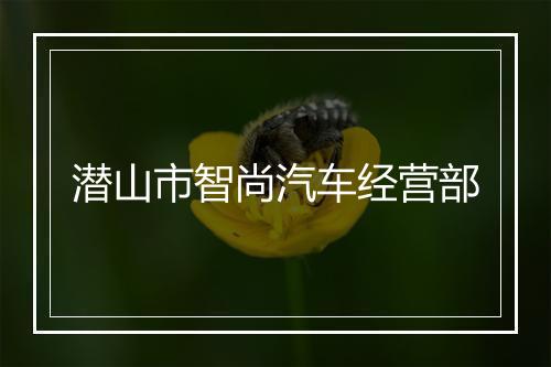 潜山市智尚汽车经营部