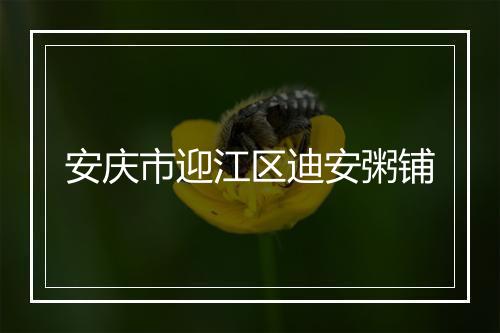 安庆市迎江区迪安粥铺
