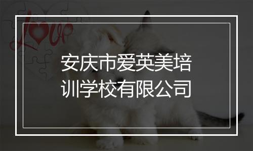 安庆市爱英美培训学校有限公司