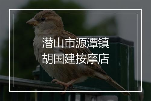 潜山市源潭镇胡国建按摩店