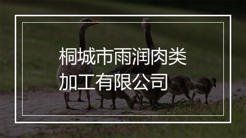 桐城市雨润肉类加工有限公司