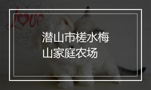 潜山市槎水梅山家庭农场