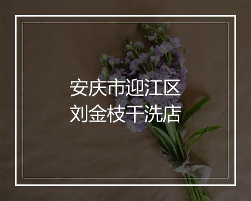 安庆市迎江区刘金枝干洗店