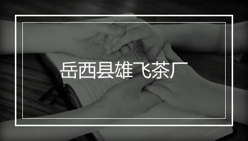 岳西县雄飞茶厂